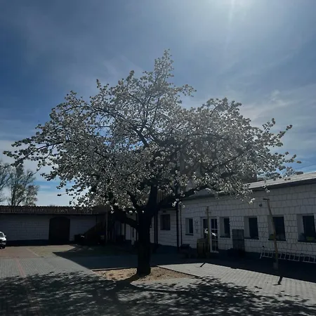 Apartment Unseburger Brauhaus Gmbh 6 *