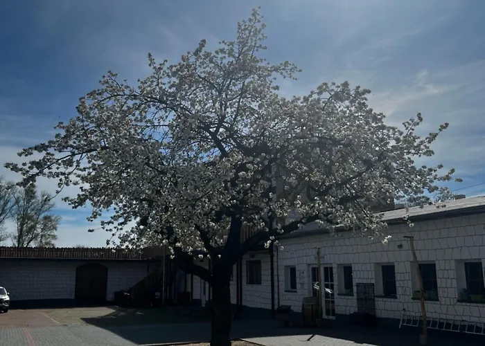 Lägenhet Unseburger Brauhaus Gmbh 6 *